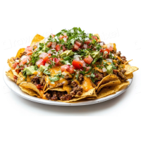 Carnitas Nachos
