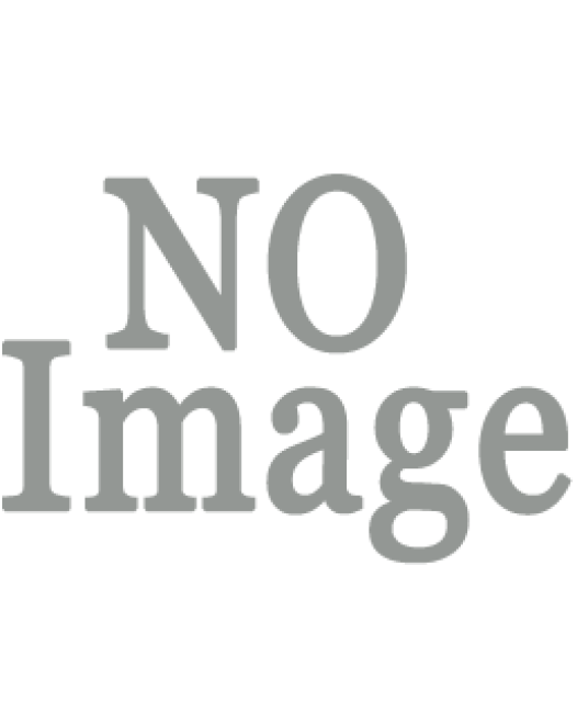 Mi Elsalvador Burger